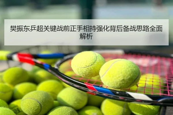 樊振东乒超关键战前正手相持强化背后备战思路全面解析