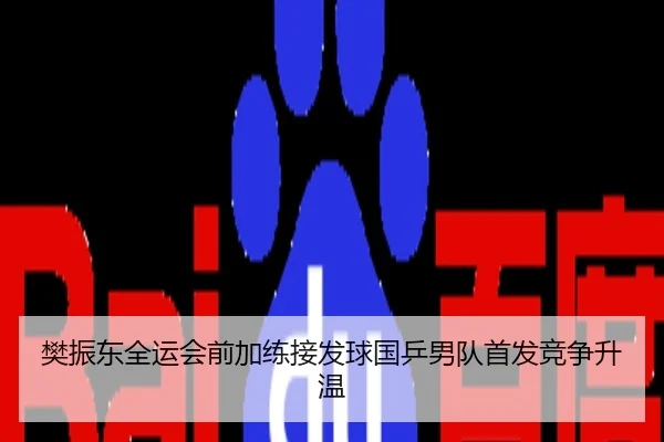 樊振东全运会前加练接发球国乒男队首发竞争升温